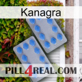 Kanagra 20